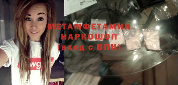 гидра Горняк