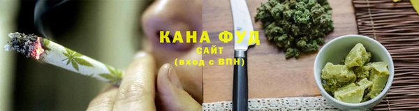 гидра Горняк