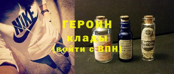 гидра Горняк
