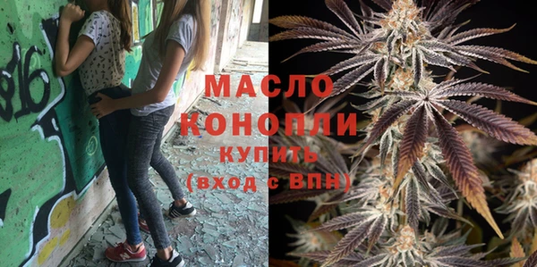гидра Горняк