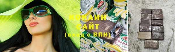 гидра Горняк